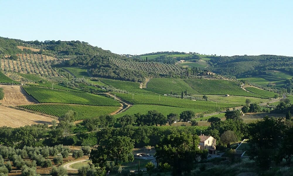 Tenuta Fanti