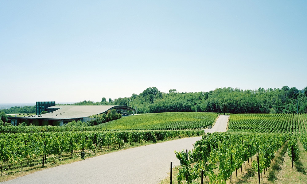 Ca’ del Bosco Ca' del Bosco