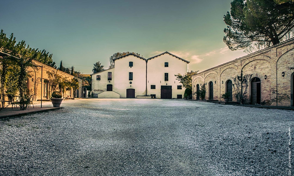 L'azienda vinicola Scacciadiavoli a Montefalco