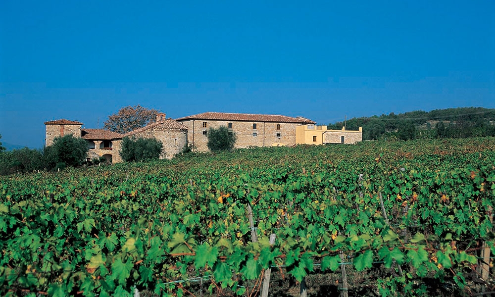 Rocca di Montegrossi