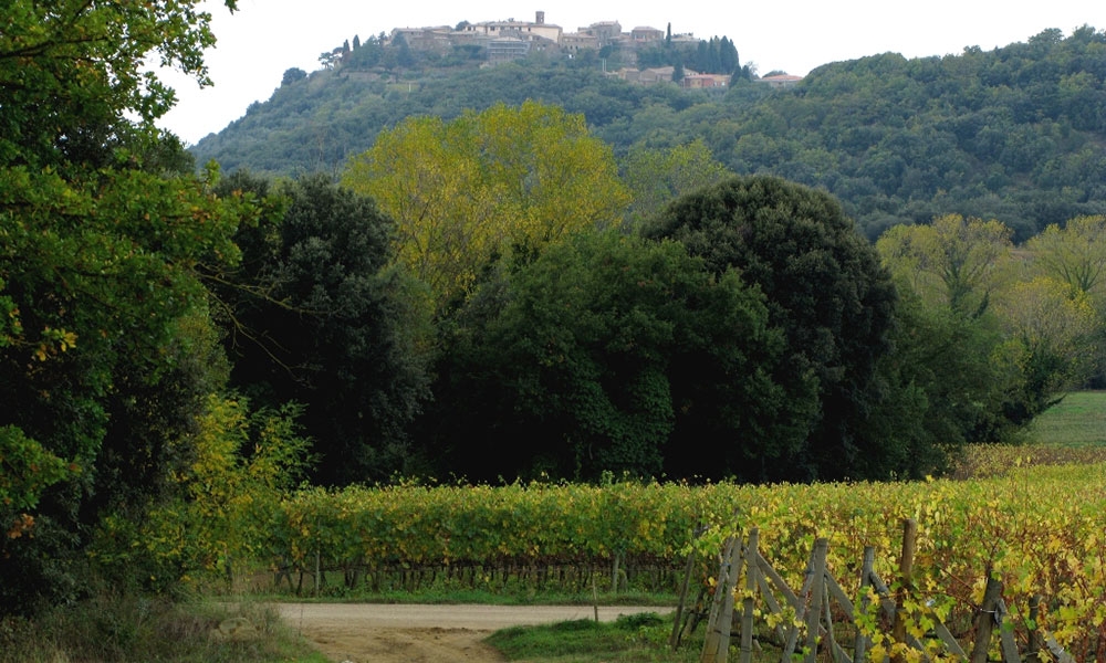 Lisini