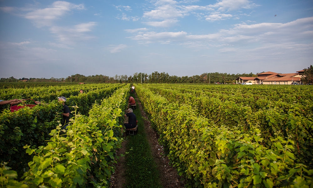 Vie di Romans vie di romans