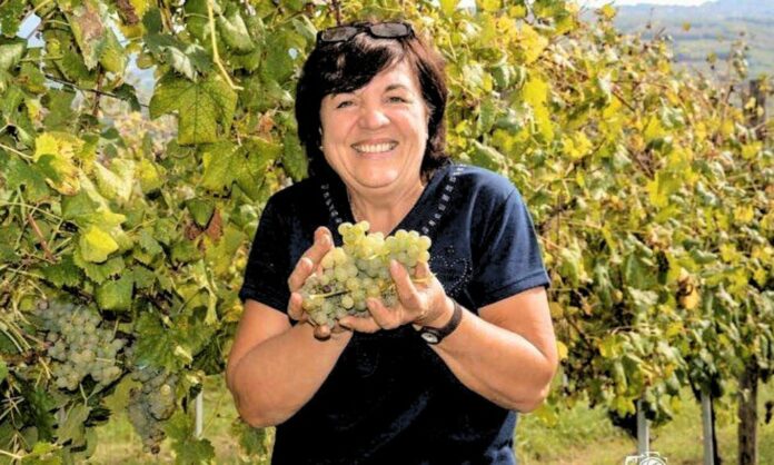 MIGLIORI VINI ROSSI ITALIANI (15)