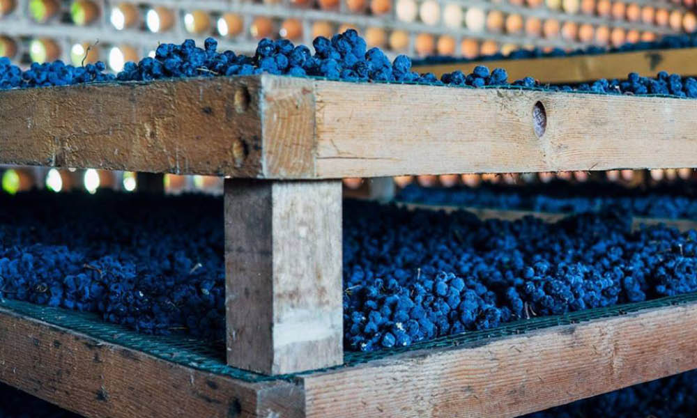arnaldo caprai sagrantino