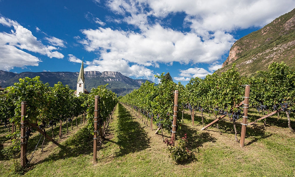 Cantina Bolzano