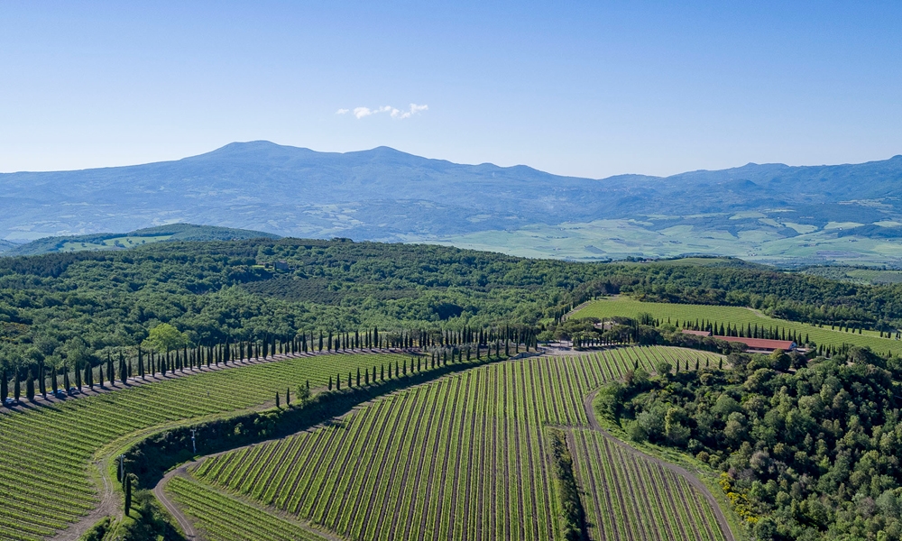 Poggio Antico