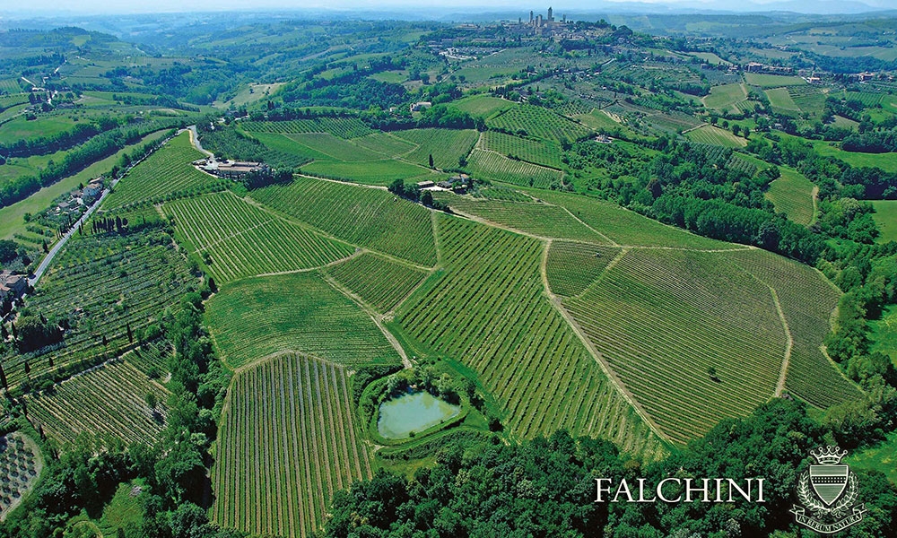 Falchini