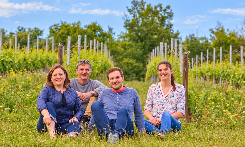 MIGLIORI VINI ROSSI ITALIANI (18)