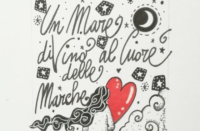 vino marche