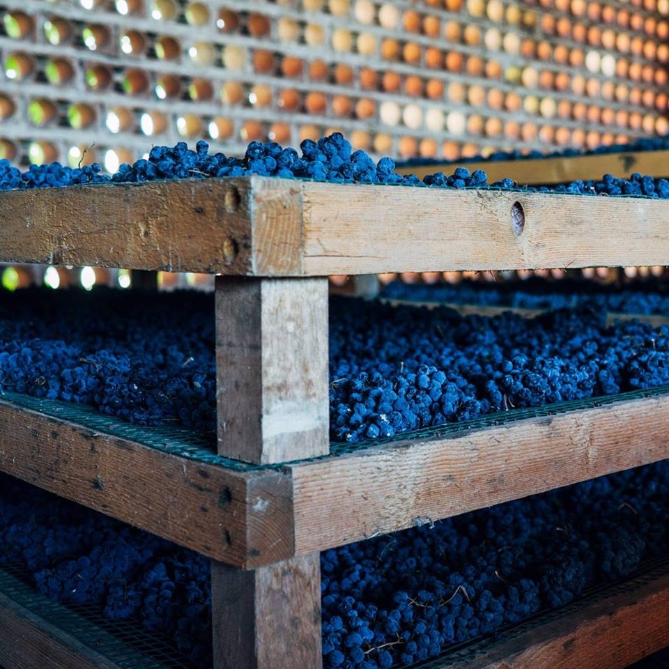 || ||