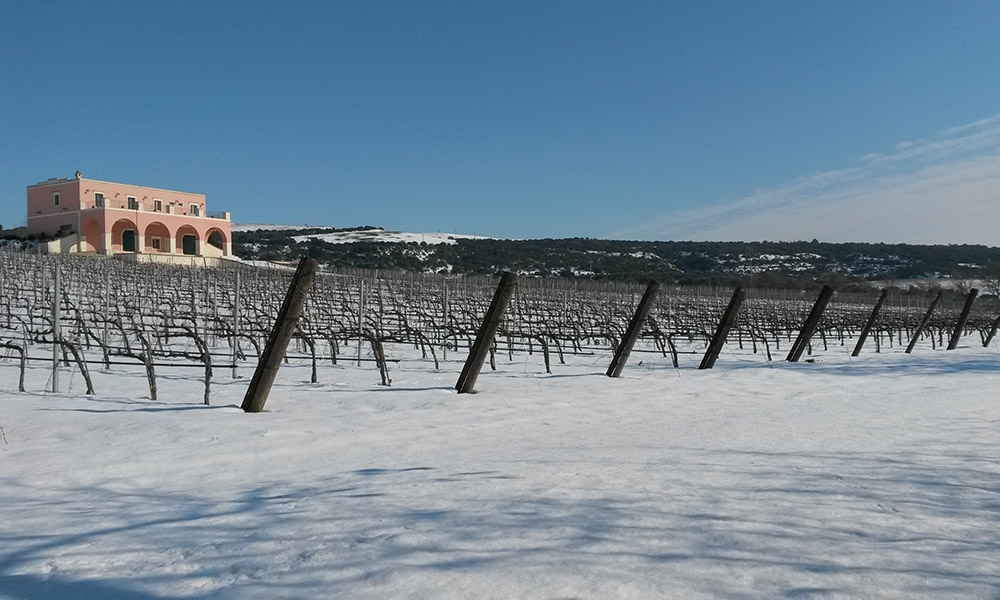 Tenuta Parco dei Monaci