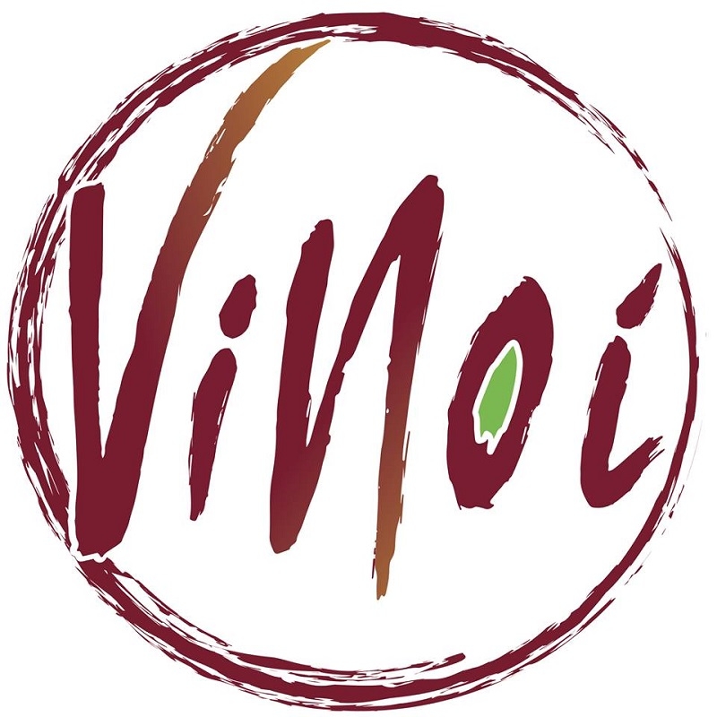 3° edizione di ViNoi ||