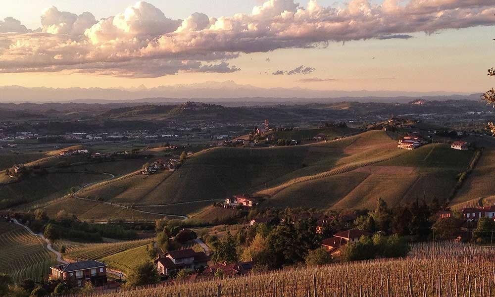 Tenute Cisa Asinari dei Marchesi di Grésy
