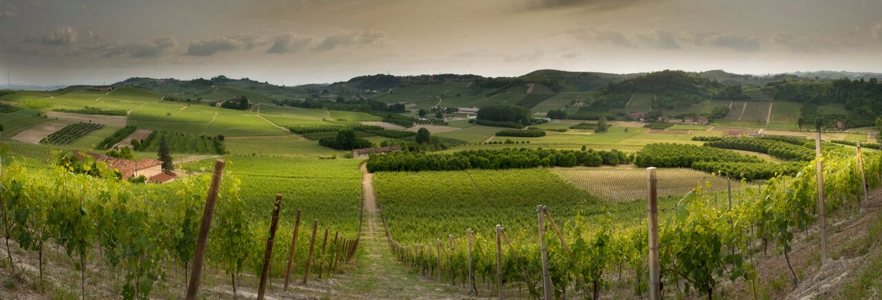 ROERO DAYS, in bus tra vigne e castelli ||