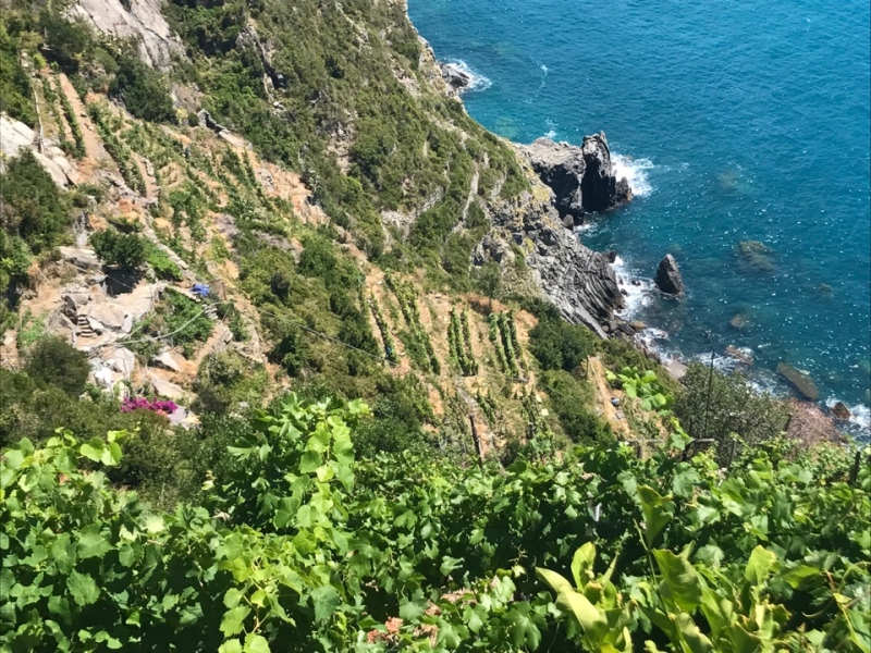 possa vino cinque terre liguria