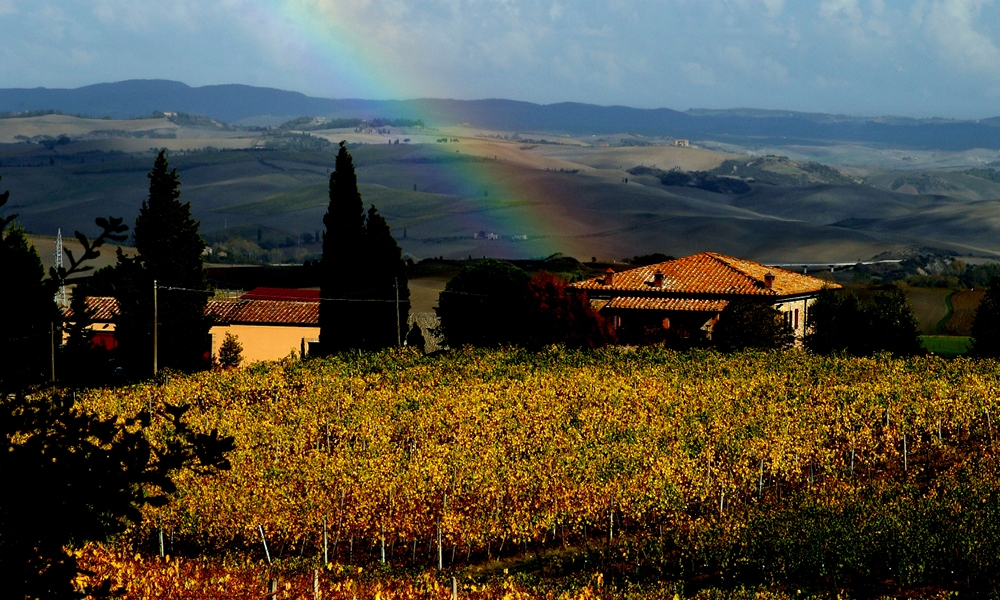 La Rasina azienda vinicola a Montalcino