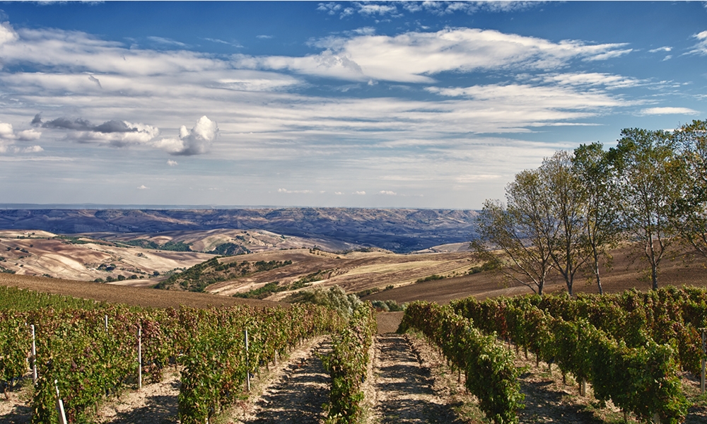 Vigneti del Vulture