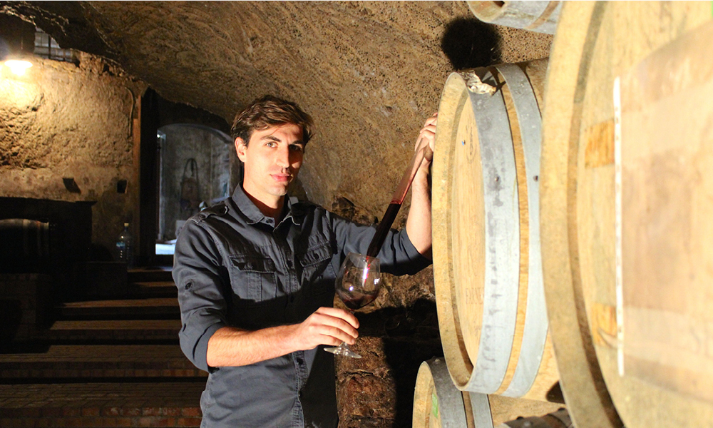 vigneti del vulture5