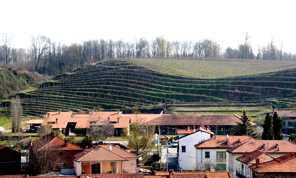antichi vigneti cantalupo