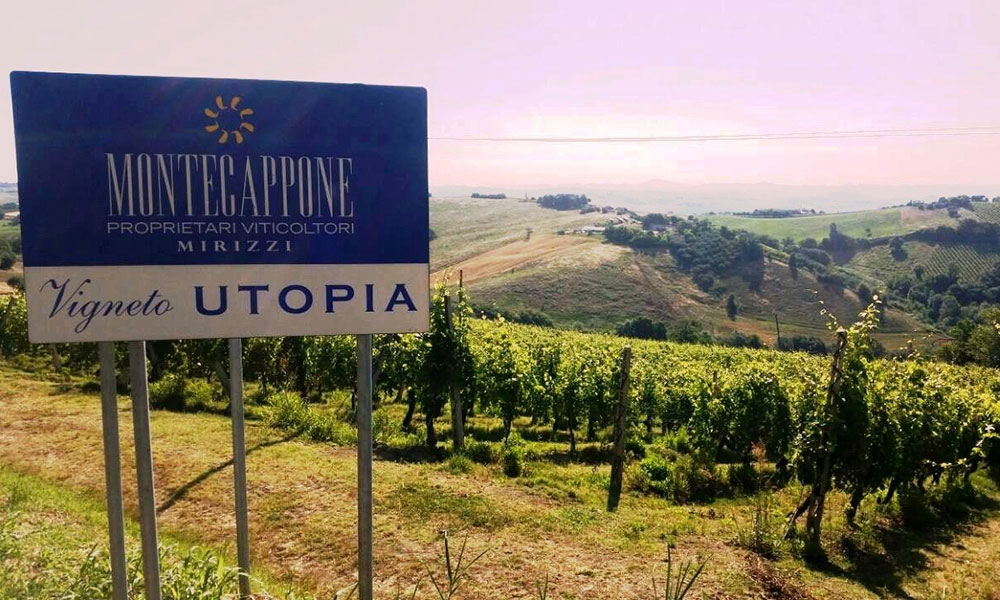 montecappone
