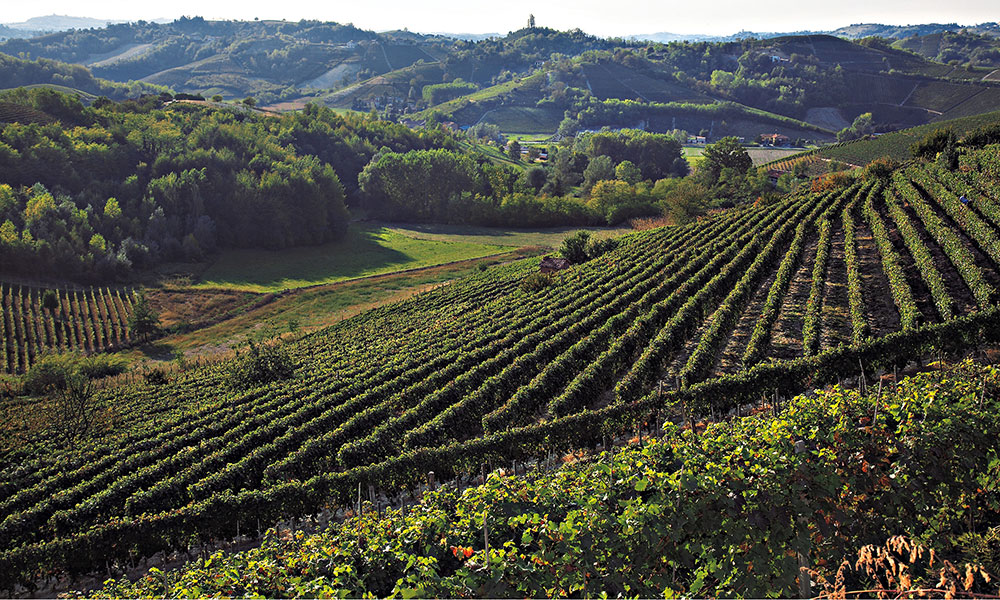 vinchio vaglio serra vigneti