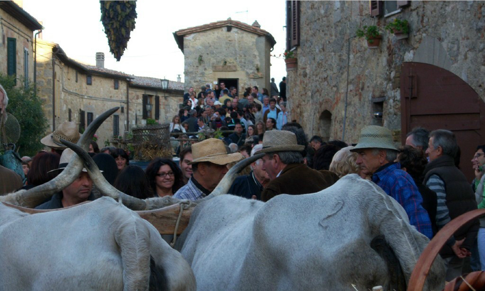 Mensano Festa della Vendemmia