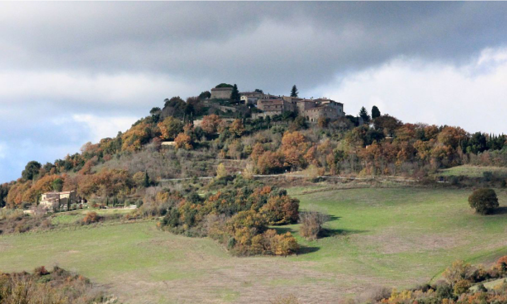 Festa del Vino e dell’Uva toscana