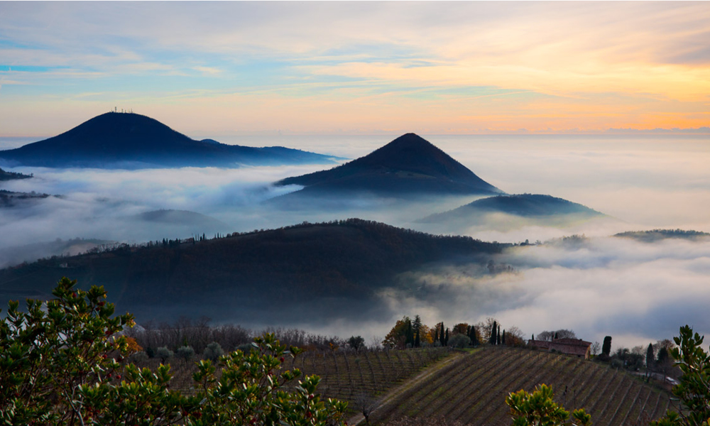 Festa del Vino e dell’Uva veneto