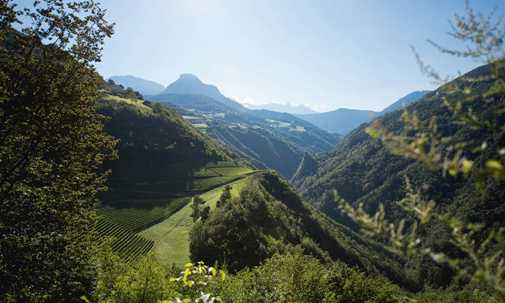 Tenuta Tiefenbrunner in Alto Adige