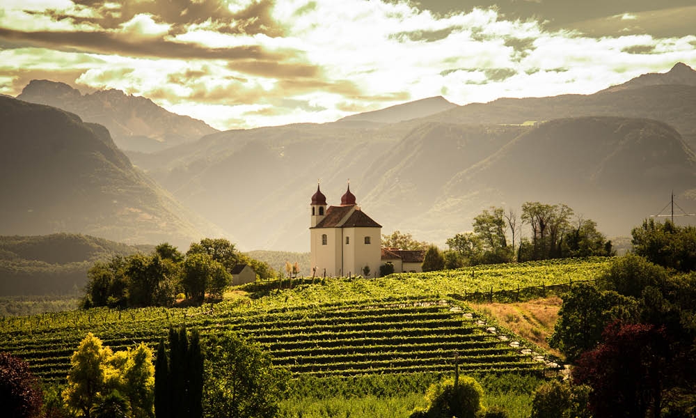 Cantina Produttori San Michele Appiano
