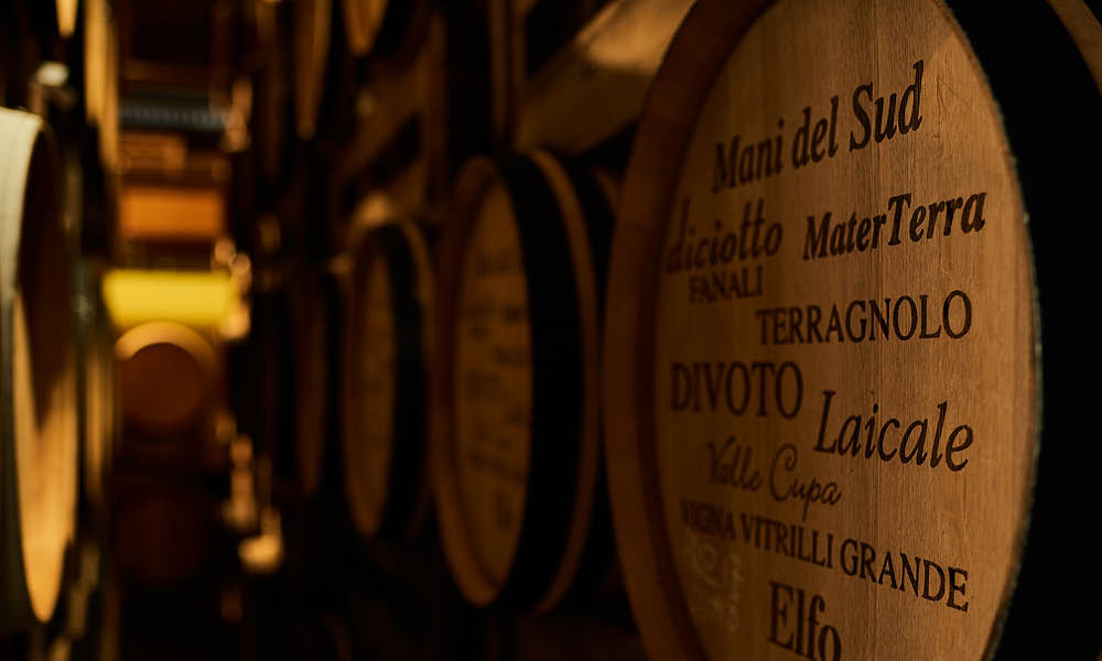 Apollonio 1870 tasting cellar