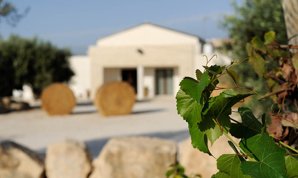 Riofavara azienda siciliana 