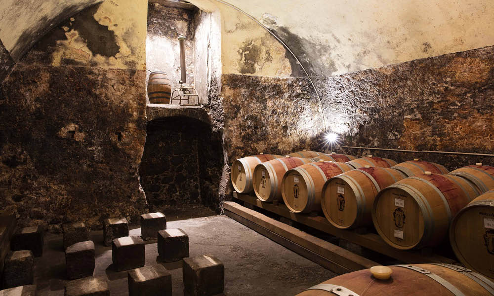 Cantina degustazione vino Santa Sofia