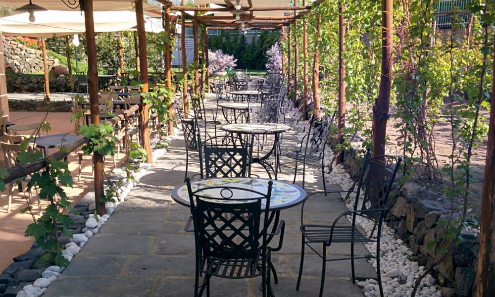 Bosco dei Medici degustazioni cantina