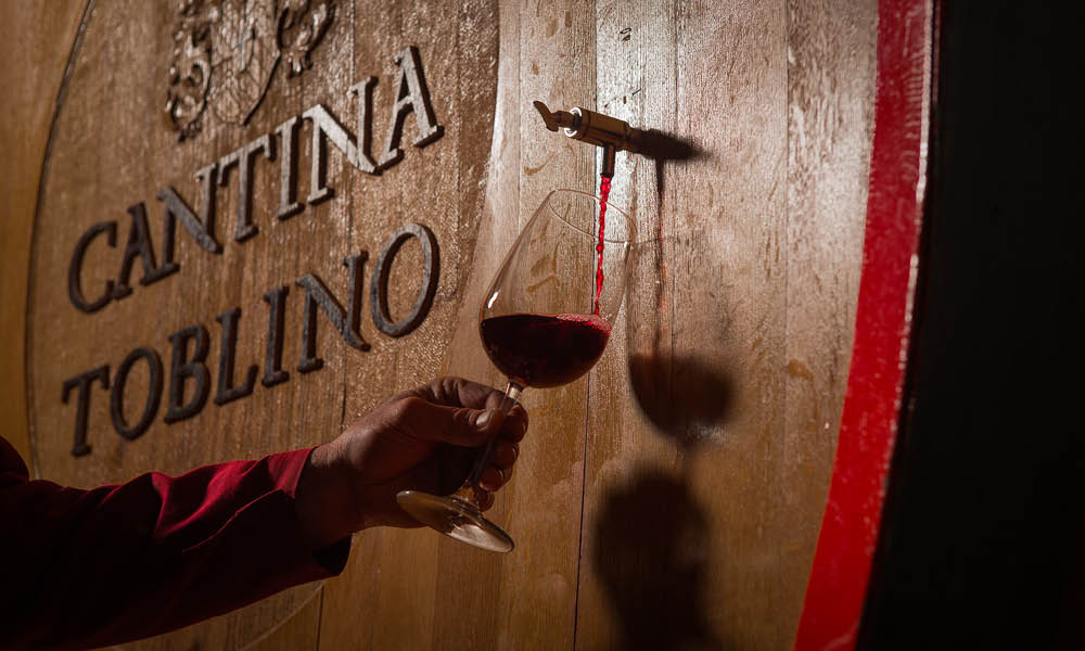 cantina toblino vini trentino