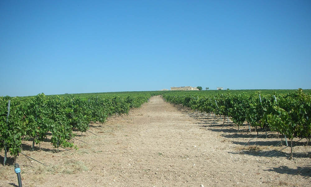 vini Val di Noto Poggio Graffetta
