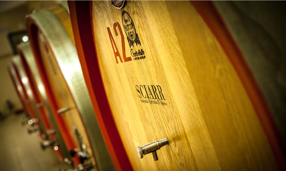 cantina degustazioni abruzzo sciarr d'alesio