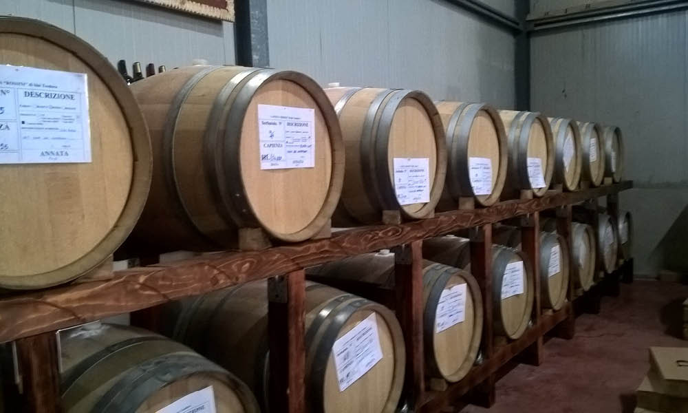 Tenuta Rossini tasting cellar