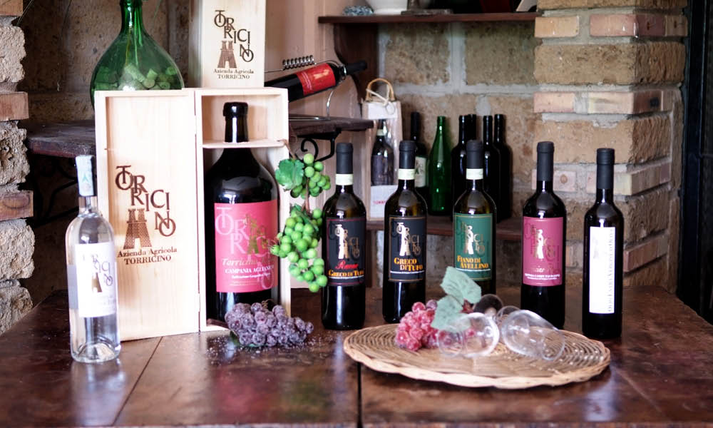 Torricino Campania wine tasting