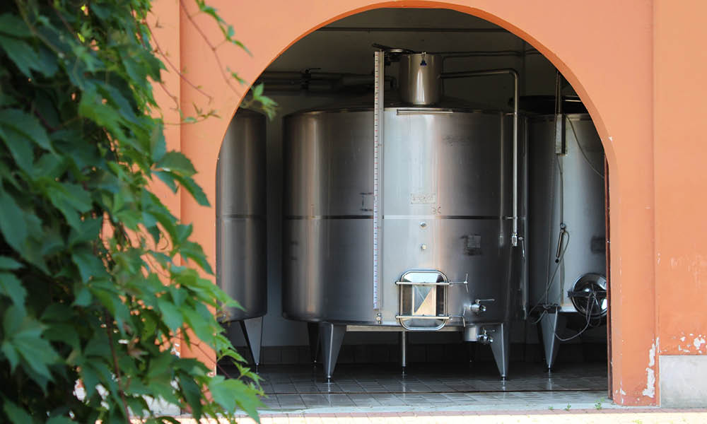 cantina vigneto delle terre rosse