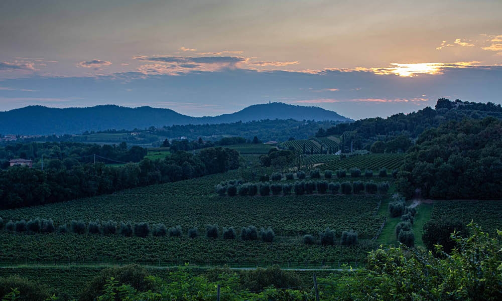 Tenuta Montenisa Tenuta Montenisa