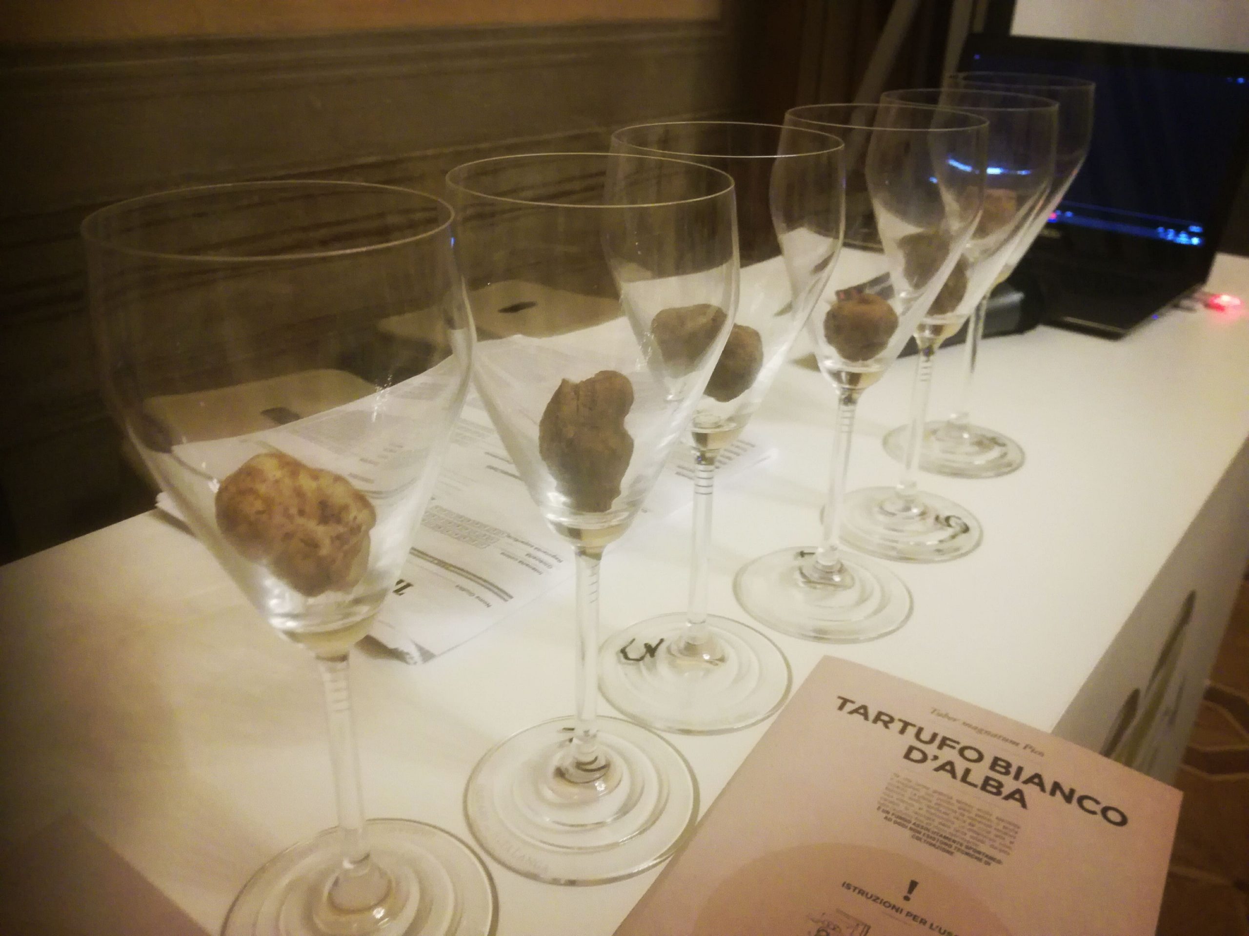 Alta langa Italys finest wines 6