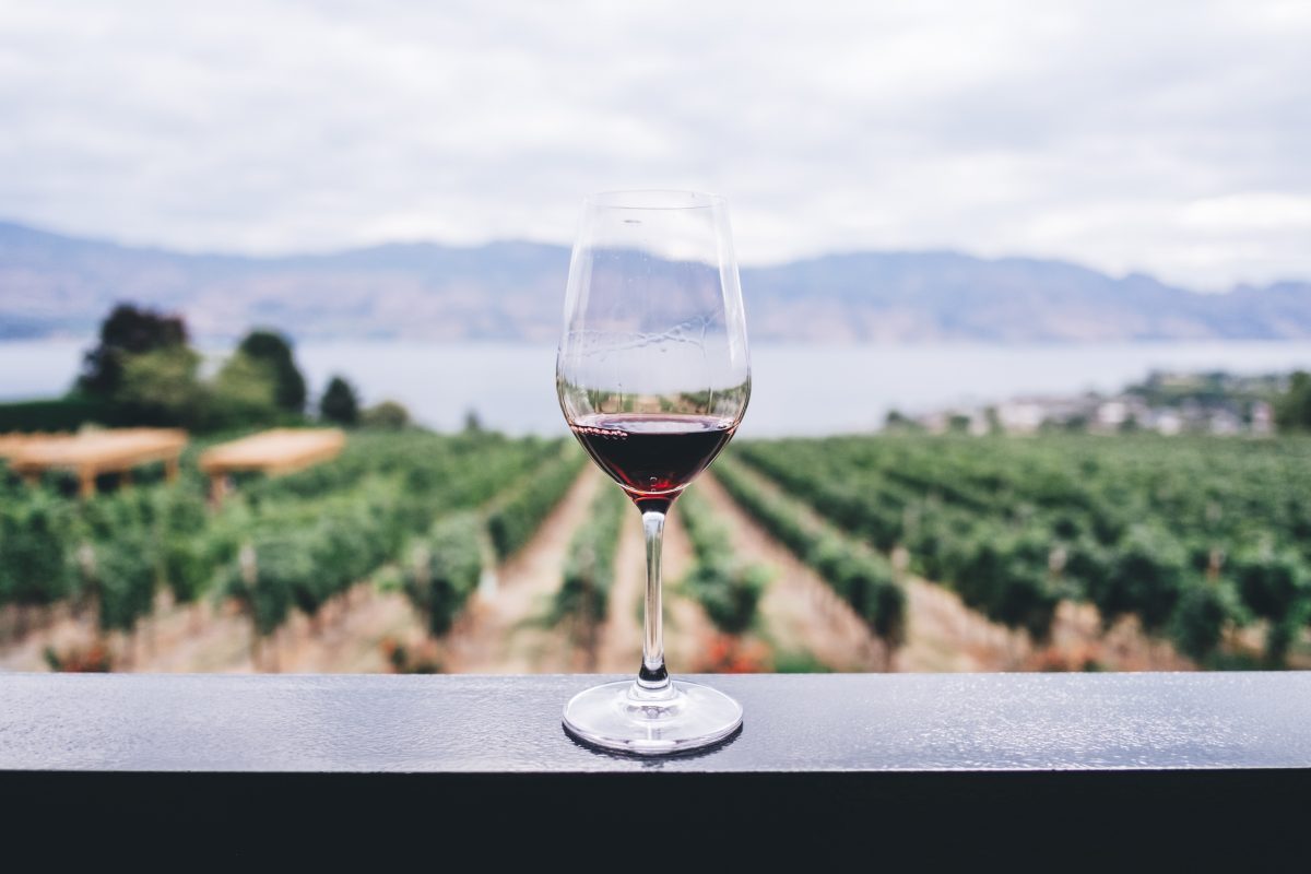 italys finest wines umbria nel bicchiere