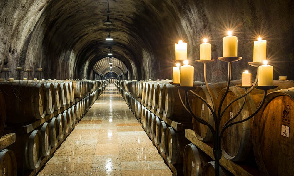 Cantina di Soave ||