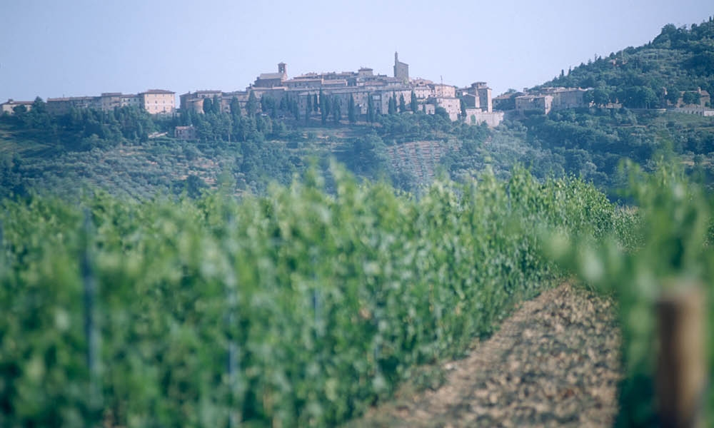 Tenuta Lamborghini