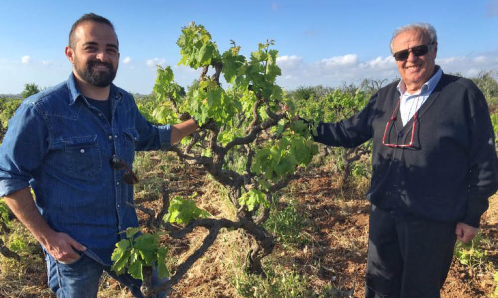 antico palmento vini puglia