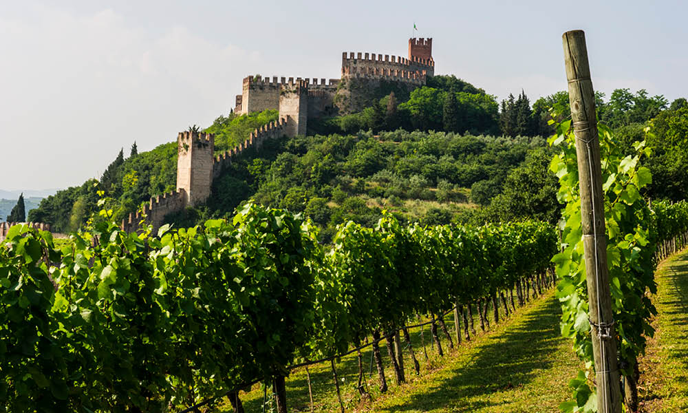 cantina di soave3
