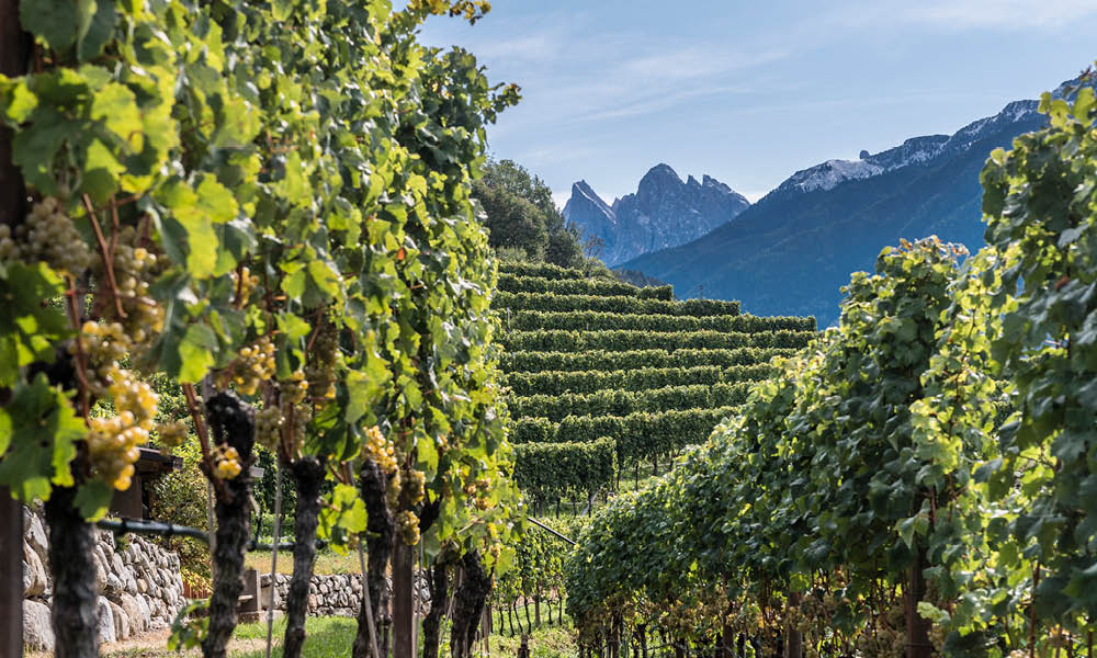 cantina valle isarco2 cantina valle isarco2