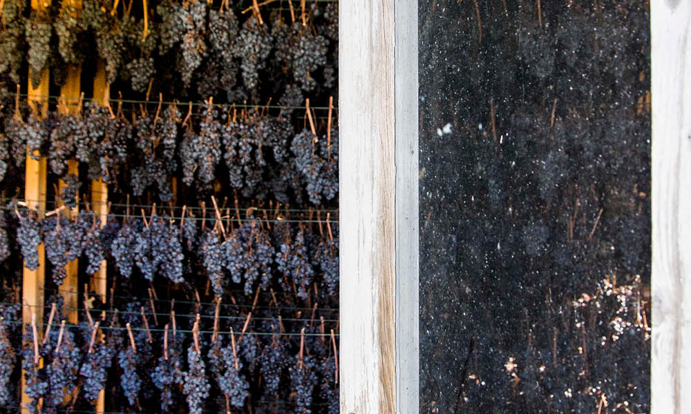 Cantine Fontezoppa vini marche