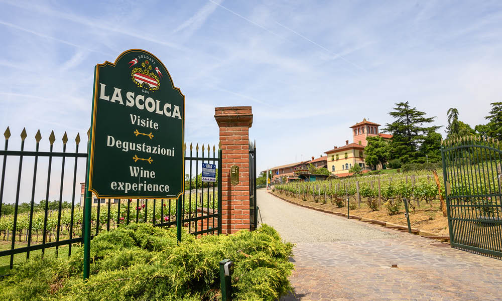 la scolca2